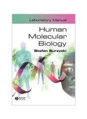 Human Molecular Biology Laboratory Manual Paperback