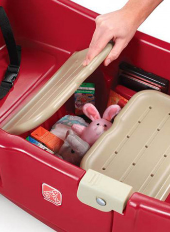 All Around Canopy Wagon