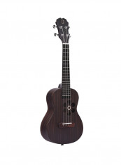 Smart Concert Ukulele