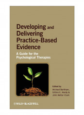 Developing And Delivering Practice-Based Evidence Hardcover