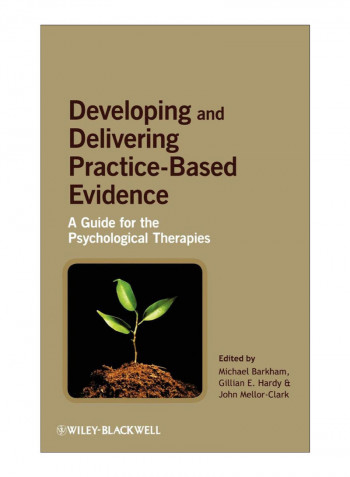 Developing And Delivering Practice-Based Evidence Hardcover