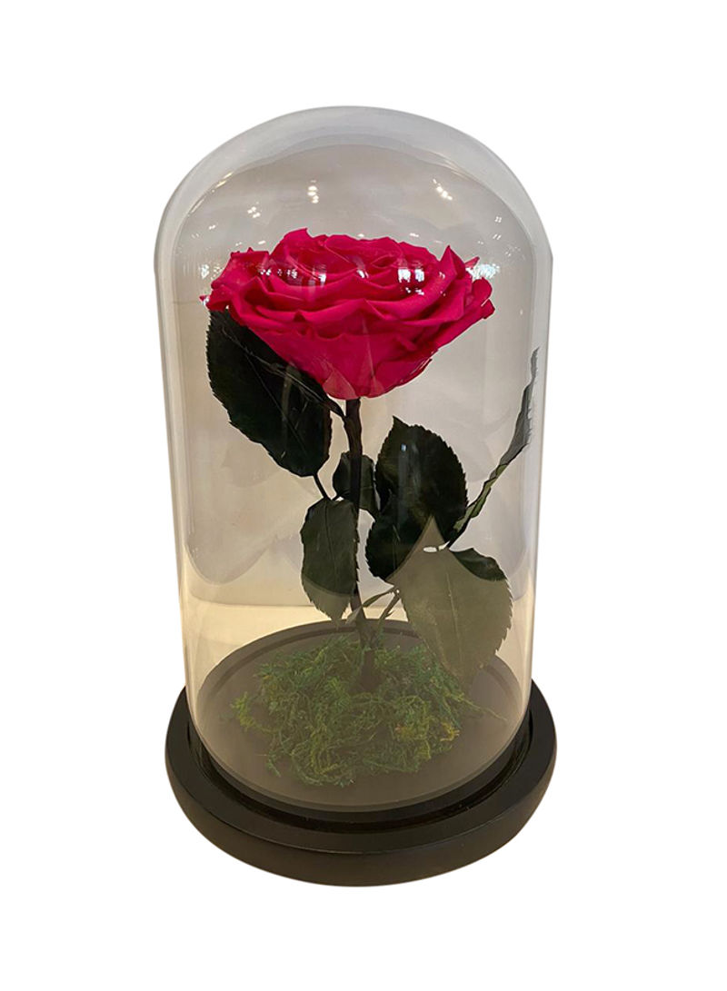 Infnite Rose In A Glass Dome Red 27x18cm