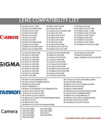 EF-E Electronic Mount Adapter For Canon EF/EF-S Lens-SONY E-Camera Attachment And Electronic Contacts Black/Silver