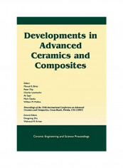 Developments In Advanced Ceramics And Composites Paperback