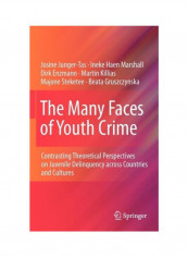 The Many Faces Of Youth Crime: Contrasting Theoretical Perspectives On Juvenile Delinquency Across Countries And Cultures Hardcover English by Josine Junger-Tas
