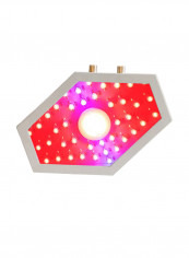 Indoor Plant LED Growing Light Multicolour 23 x 5centimeter