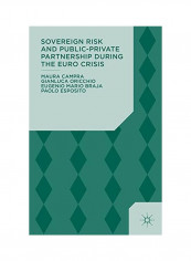 Sovereign Risk And Public-Private Partnership During The Euro Crisis Hardcover