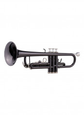 Brass Plated Trumpet Kit for Beginners reviews Brass Plated Trumpet Kit for Beginners