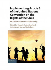 Implementing Article 3 Of The United Nations Convention On The Rights Of The Child: Best Interests, Welfare And Well-Being Hardcover