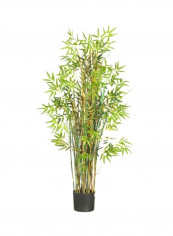 Bamboo Grass Silk Plant Green/Brown 5feet