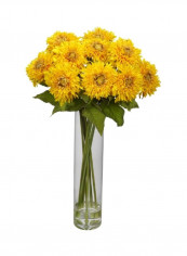 Sunflower With Cylinder Vase Yellow/Green