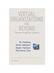 Virtual Organizations and Beyond: Discovering Imaginary Systems Hardcover