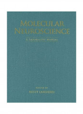 Molecular Neuroscience: A Laboratory Manual Hardcover English by Rusty Lansford