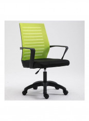 Leisure Office Computer Chair Black/Green 67 x 47 x 19cm