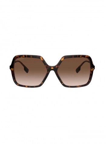 Women's Full-Rim Oversize  Sunglasses