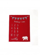 Baby's Crawling Mat Milestone Knit Number Animal Photo Blanket