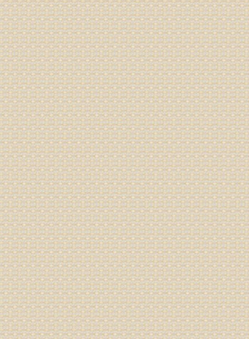 Single Sunscreen Collection 2 Roller Blind Beige 220x175cm