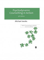 Psychodynamic Counselling In Action Hardcover
