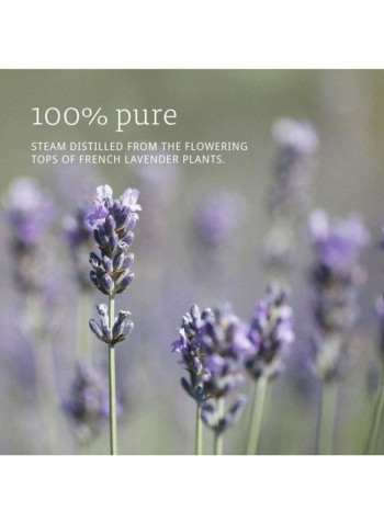 Lavender Essential Oil Brown/White 473ml