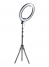 Dimmable LED Video Ring Light 36watts Black reviews Dimmable LED Video Ring Light 36watts Black