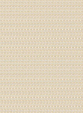 Single Sunscreen Collection 2 Roller Window Shade Beige 160x240cm