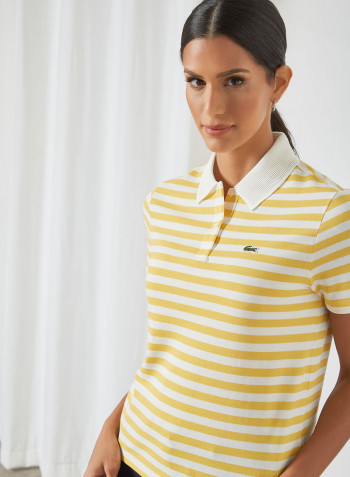 Striped Polo Anthemis/Flour