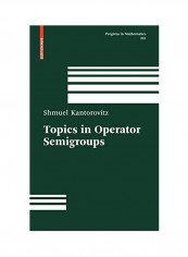 Topics in Operator Semigroups Hardcover