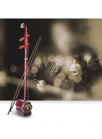 Wooden Erhu Chinese 2-Stringed Fiddle Violin