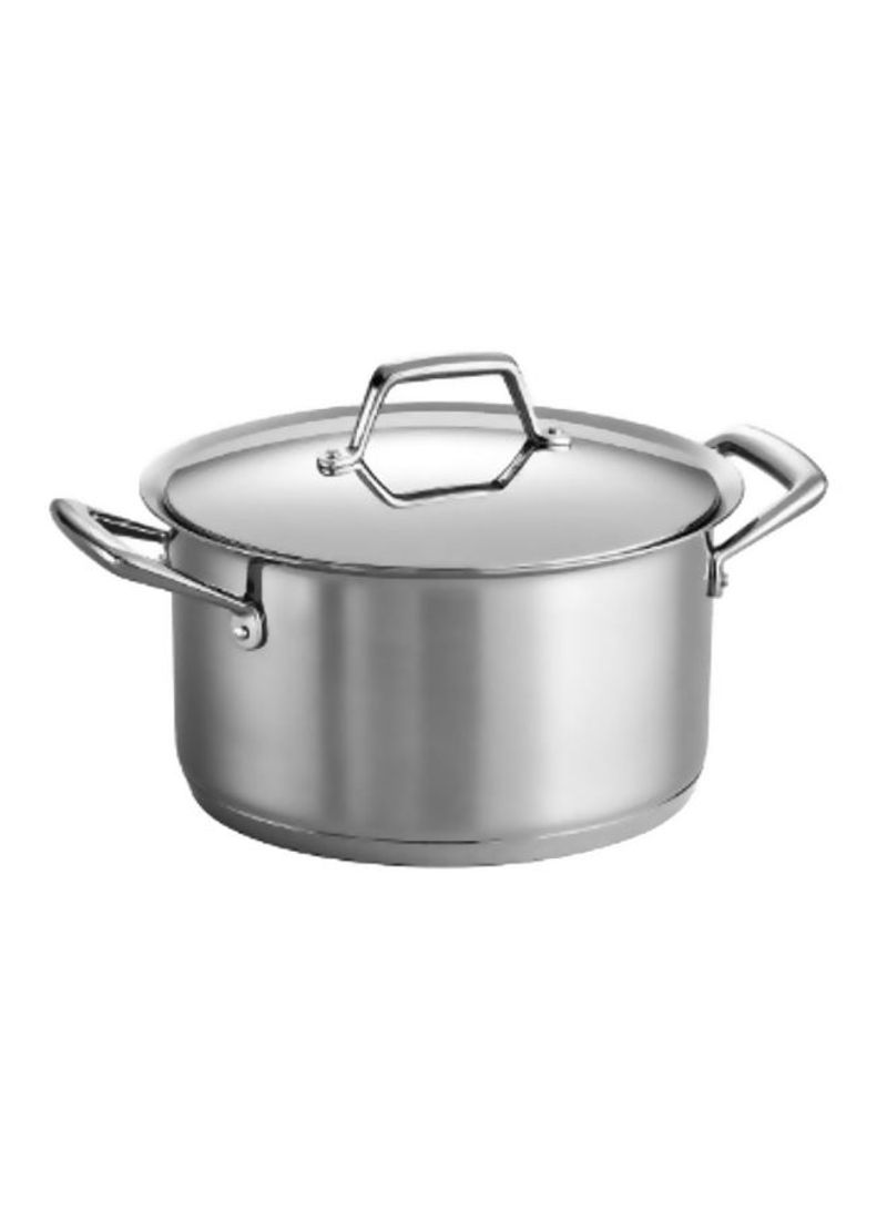 Stainless Steel Stockpot With Lid Silver/Clear