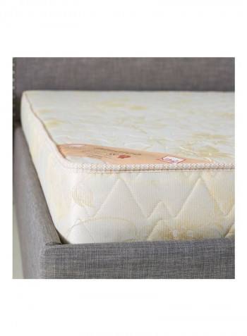 Imedico King Medical Mattress Beige