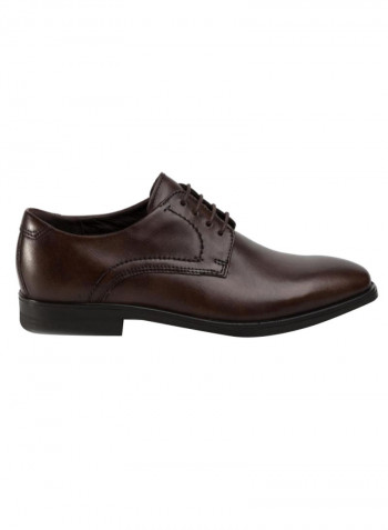 Melbourne Lace-Up Derby Shoes Brown