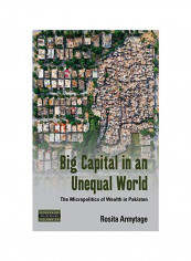 Big Capital In An Unequal World Hardcover