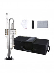 Brass Trumpet With Accessories