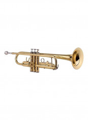 Standard BB Brass Trumpet