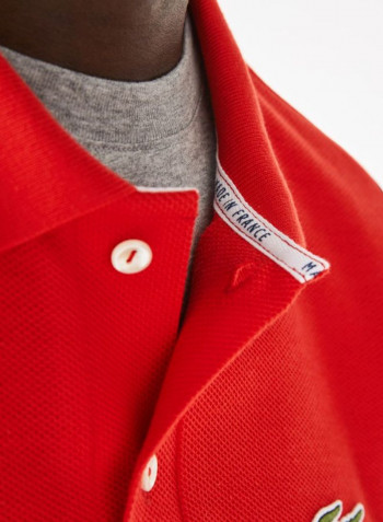 Contrast Stripe Organic Cotton Polo Redcurrant Bush