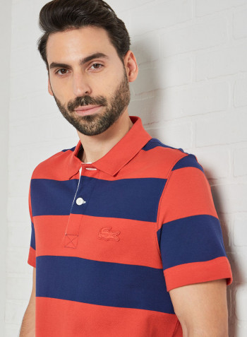 Striped Cotton Piqué Polo Navy/Red