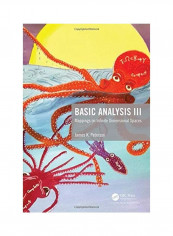 Basic Analysis III Hardcover English by James K. Peterson