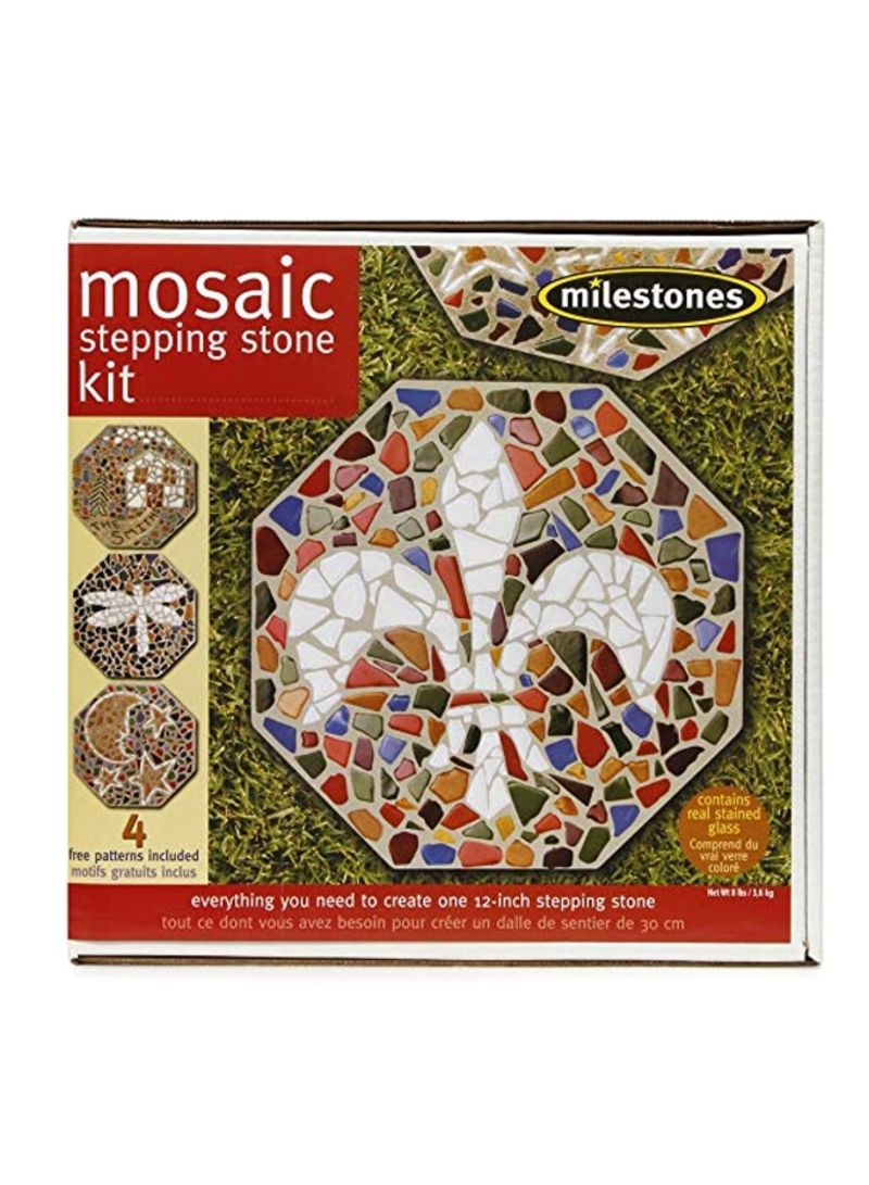 Mosaic Stepping Stone Kit Multicolour