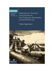 Freedom Of Transit And Access To Gas Pipeline Networks Under WTO Law Hardcover