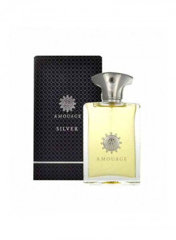Silver EDP 100ml