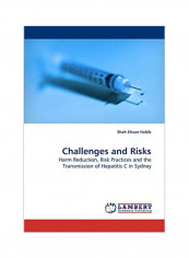 Challenges And Risks Paperback