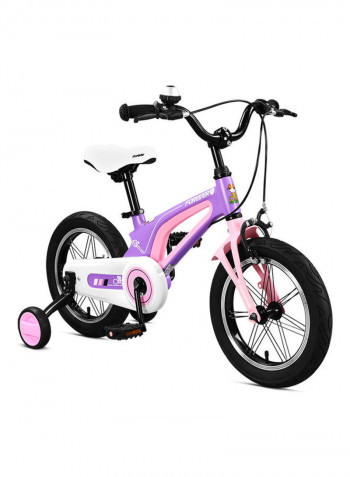 Iron Bicycle 16inch