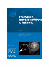 Dwarf Galaxies: From The Deep Universe To The Present Hardcover
