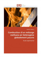 Combustion D'Un Melange Methane-Air Heterogene Globalement Pauvre Paperback