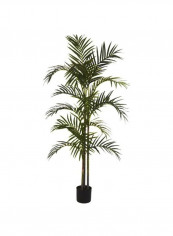 Areca Palm Silk Tree Green 5feet