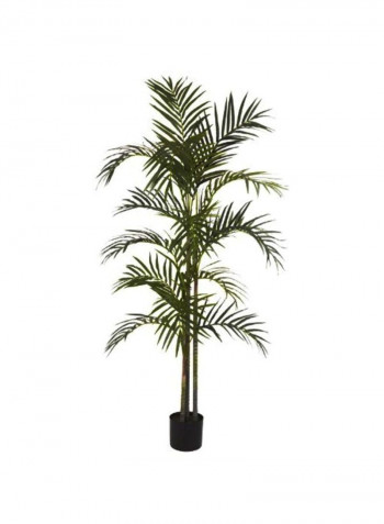 Areca Palm Silk Tree Green 5feet