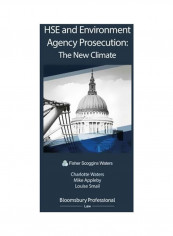 HSE And Environment Agency Prosecution: The New Climate Paperback