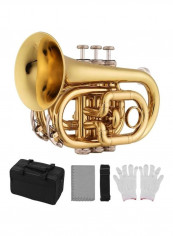 Mini Pocket Trumpet With Accessories