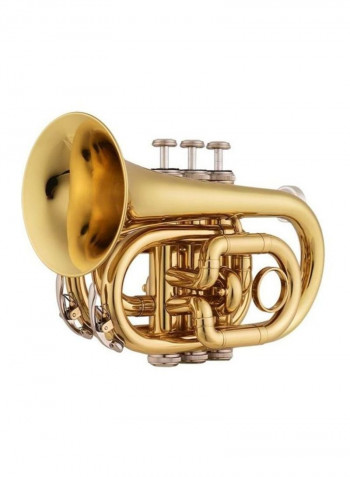 Mini Pocket Trumpet With Accessories