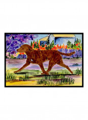 Dog Printed Doormat Multicolour 18x27x0.25inch